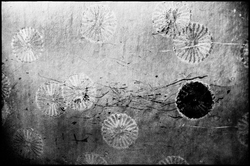 © Hajime Kimura - Image from the Man and dog photography project