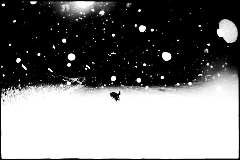 © Hajime Kimura - Image from the Man and dog photography project