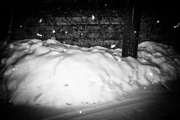 © Hajime Kimura - Image from the Man and dog photography project