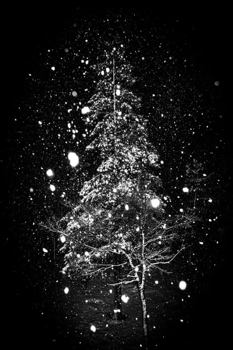 © Hajime Kimura - Image from the Man and dog photography project