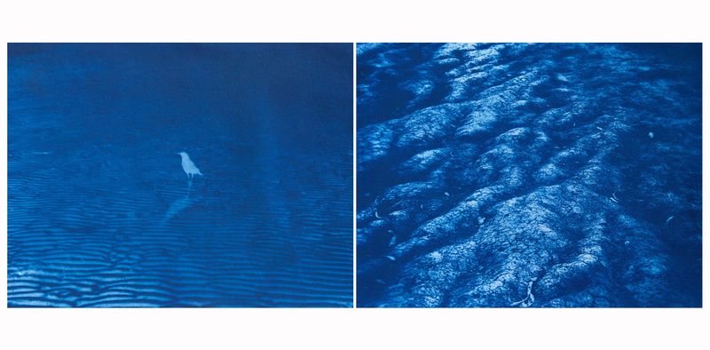 © Lauren Hermele - Image from the Mappings photography project