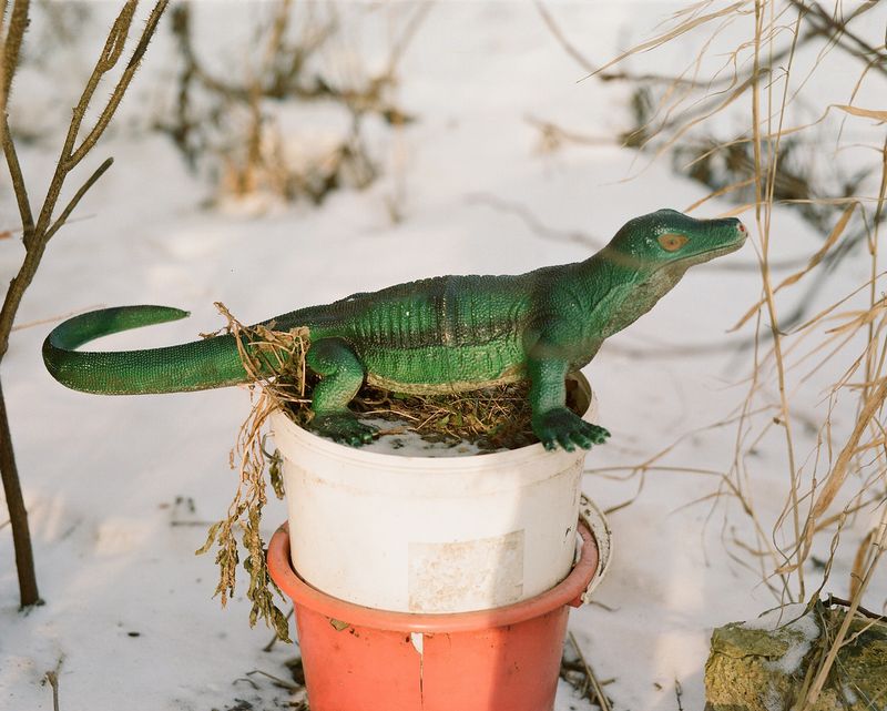 © Ekaterina Vasilyeva - Image from the Canyon diary photography project