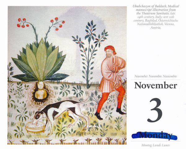 © Ekaterina Vasilyeva - Image from the Canyon diary photography project