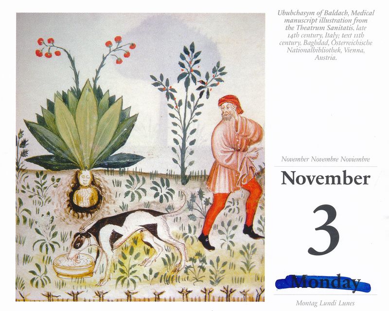 © Ekaterina Vasilyeva - Image from the Canyon diary photography project