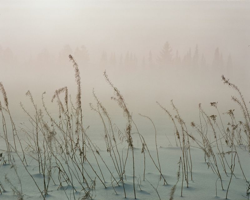 © Ekaterina Vasilyeva - Image from the Canyon diary photography project