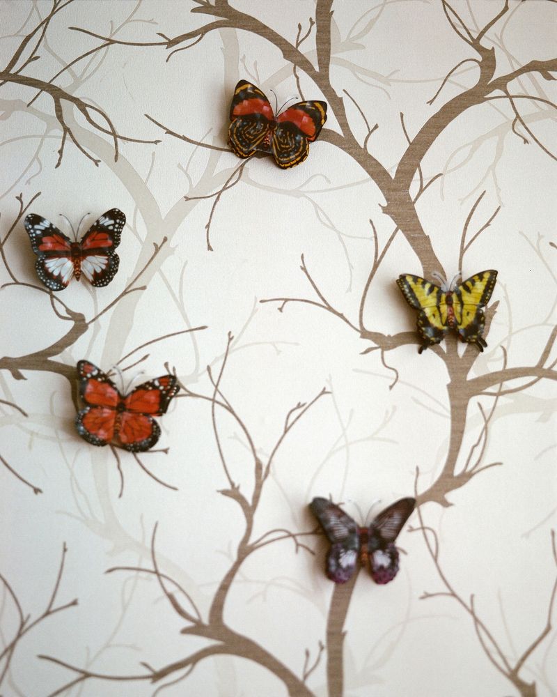 © Ekaterina Vasilyeva - Image from the Canyon diary photography project