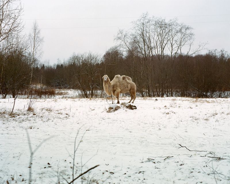 © Ekaterina Vasilyeva - Image from the Canyon diary photography project