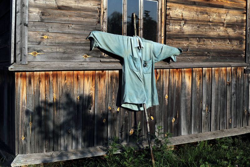 © Ekaterina Vasilyeva - Image from the After the firebird photography project