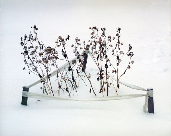 © Ekaterina Vasilyeva - Image from the Bermuda Triangle photography project