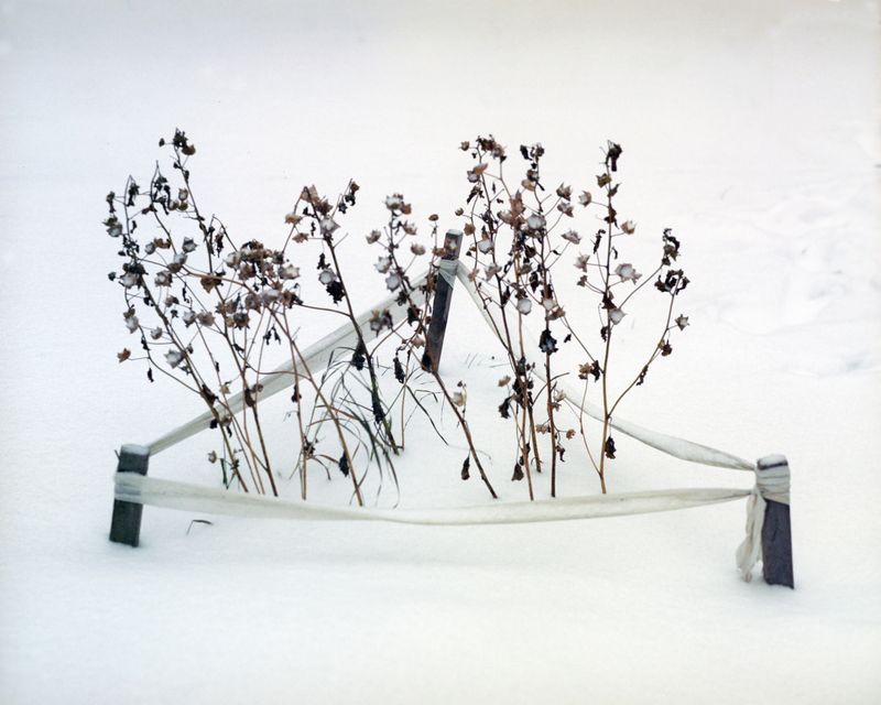 © Ekaterina Vasilyeva - Image from the Bermuda Triangle photography project