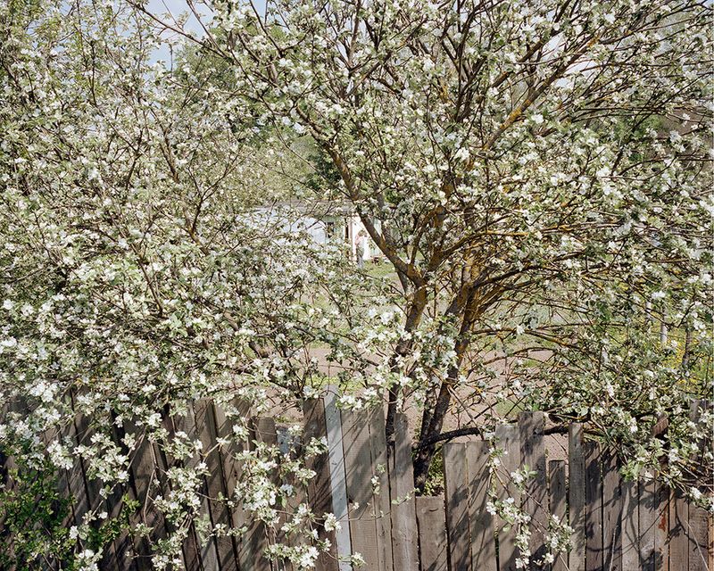 © Andrejs Strokins - Allotment near to Spilve airport territory, 2013