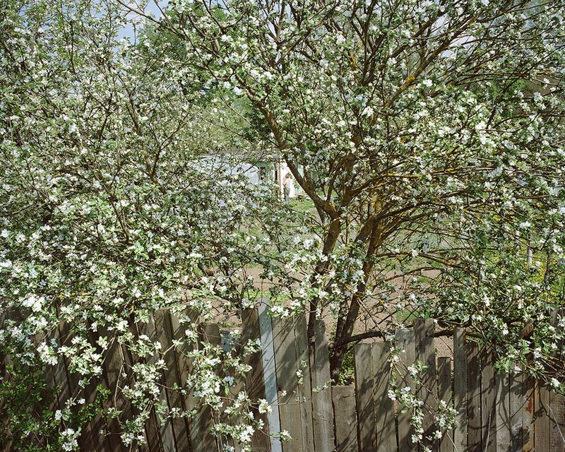 © Andrejs Strokins - Allotment near to Spilve airport territory, 2013