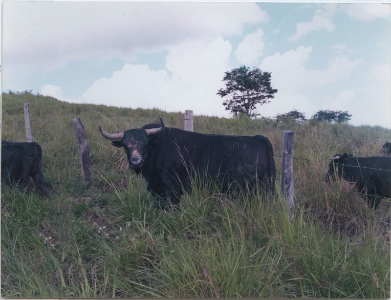 © Margarita V Beltran - Image from the Arde la casa, on political violence, family and exile photography project