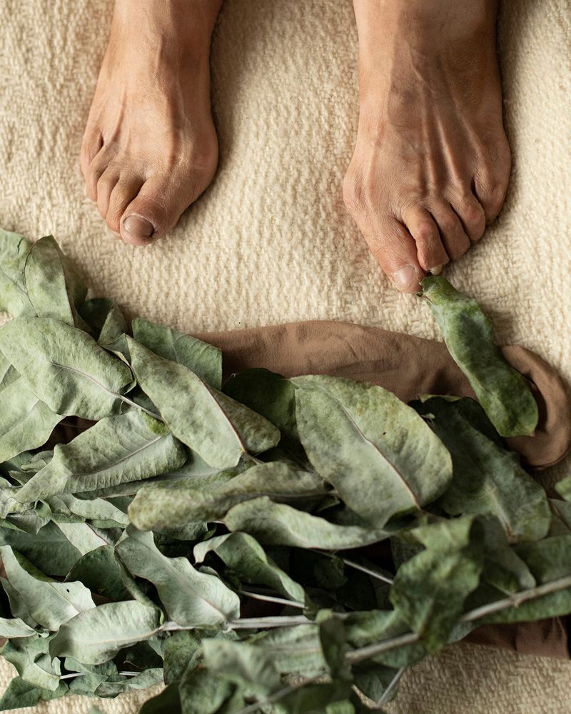 © Margarita V Beltran - Image from the Rosalba, a counter family album. photography project