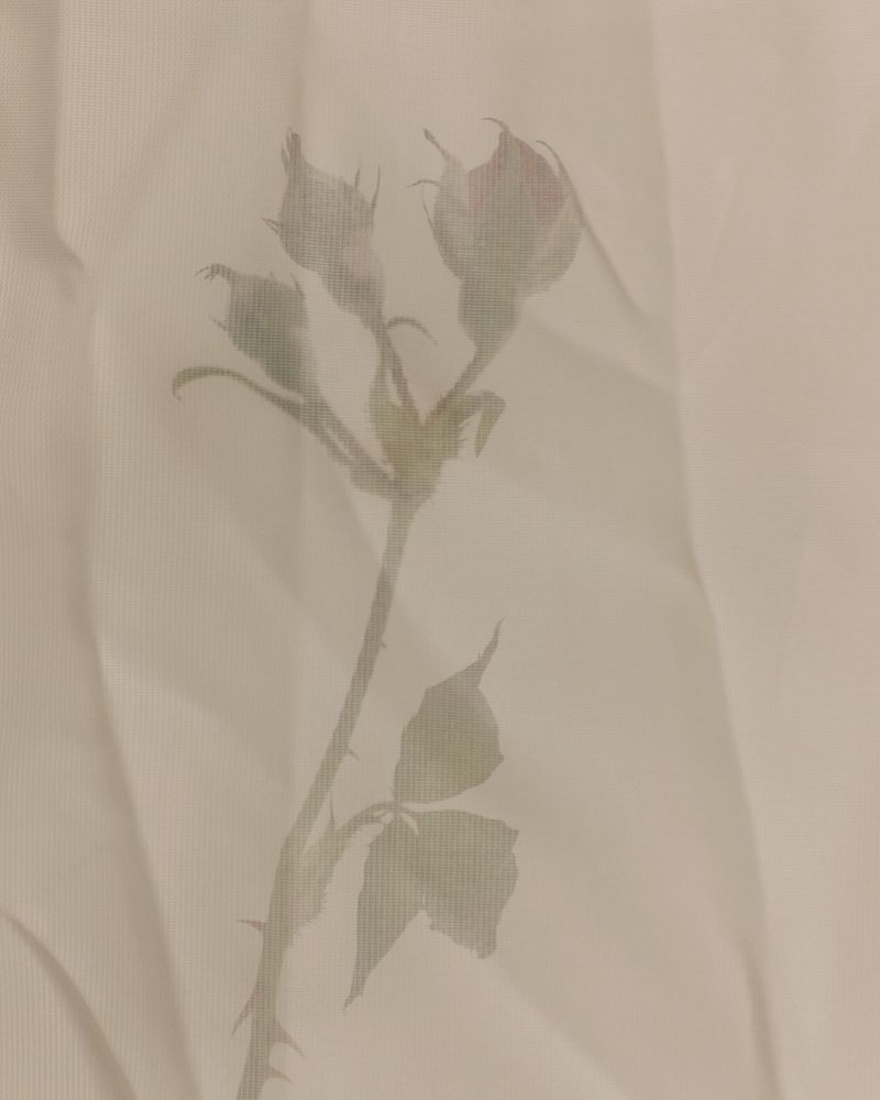 © Margarita V Beltran - Image from the Rosalba, a counter family album. photography project