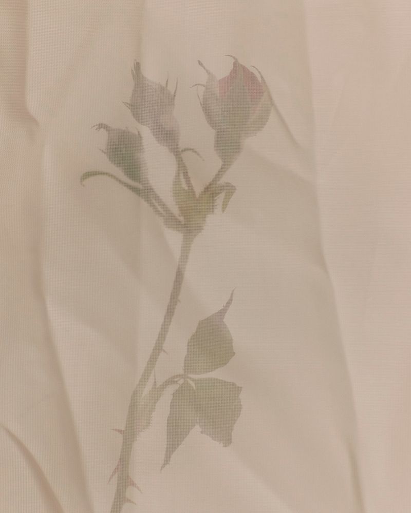 © Margarita V Beltran - Image from the Rosalba, a counter family album. photography project