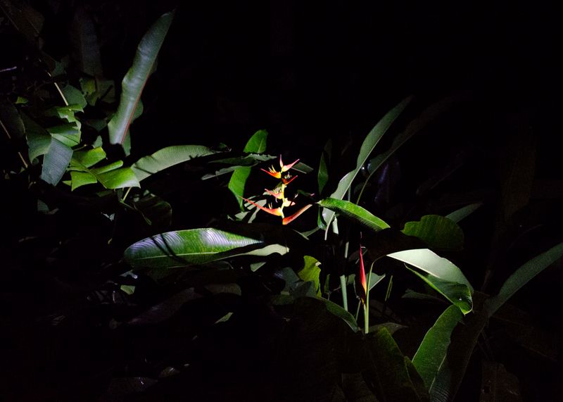 © Margarita V Beltran - Image from the Arder la casa, on political violence, family and exile. photography project