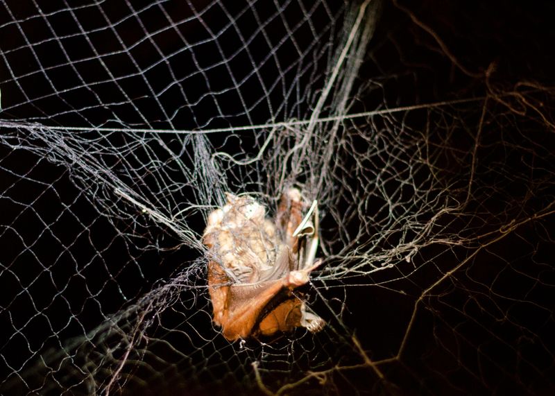 © Margarita V Beltran - Image from the Arder la casa, on political violence, family and exile. photography project