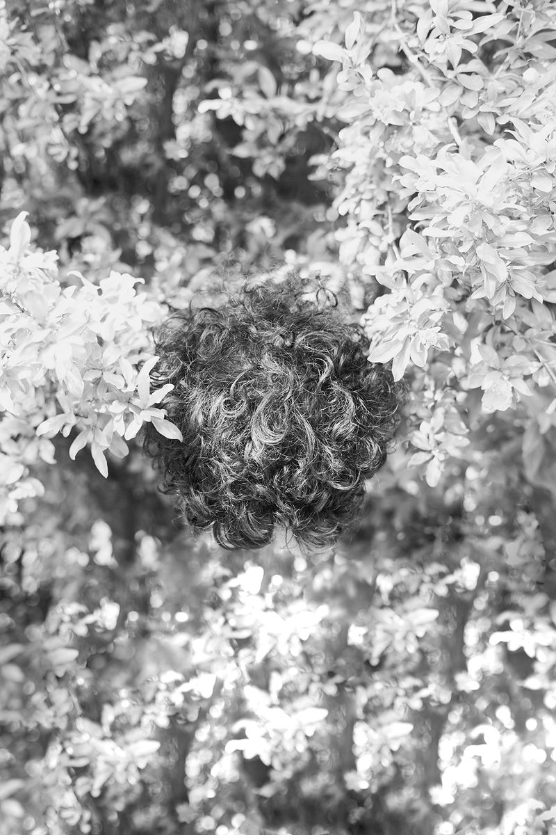 © Diletta De Bortoli - Regola 7_NASCONDITI_4