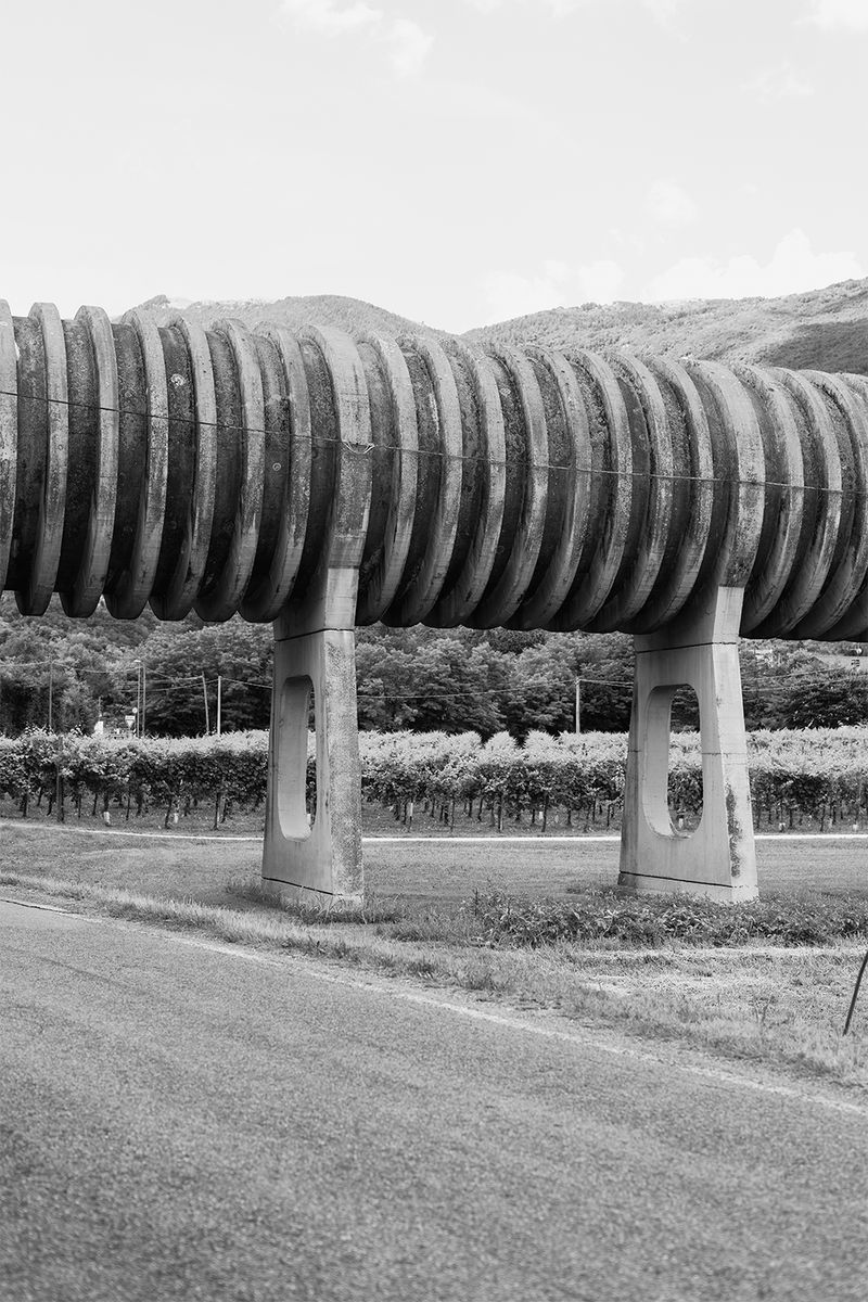 © Diletta De Bortoli - Regola 5_CAMBIA_1