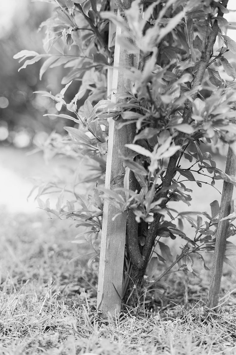 © Diletta De Bortoli - Regola 6_FATTI ACCOMPAGNARE_1