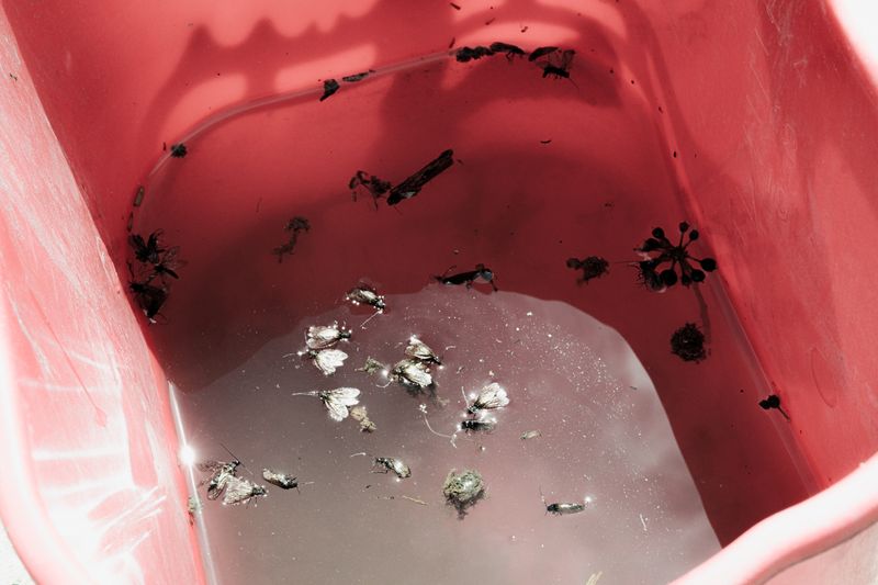 Image from a project on PhMuseum