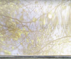 A River Has No Shore