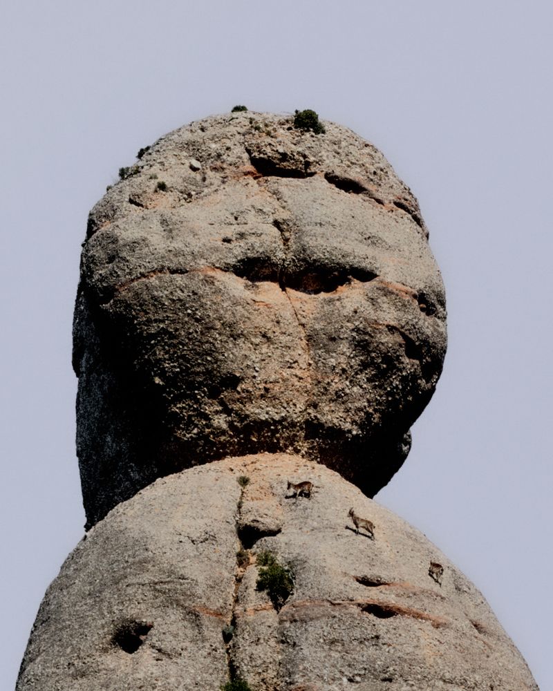 Image from a project on PhMuseum