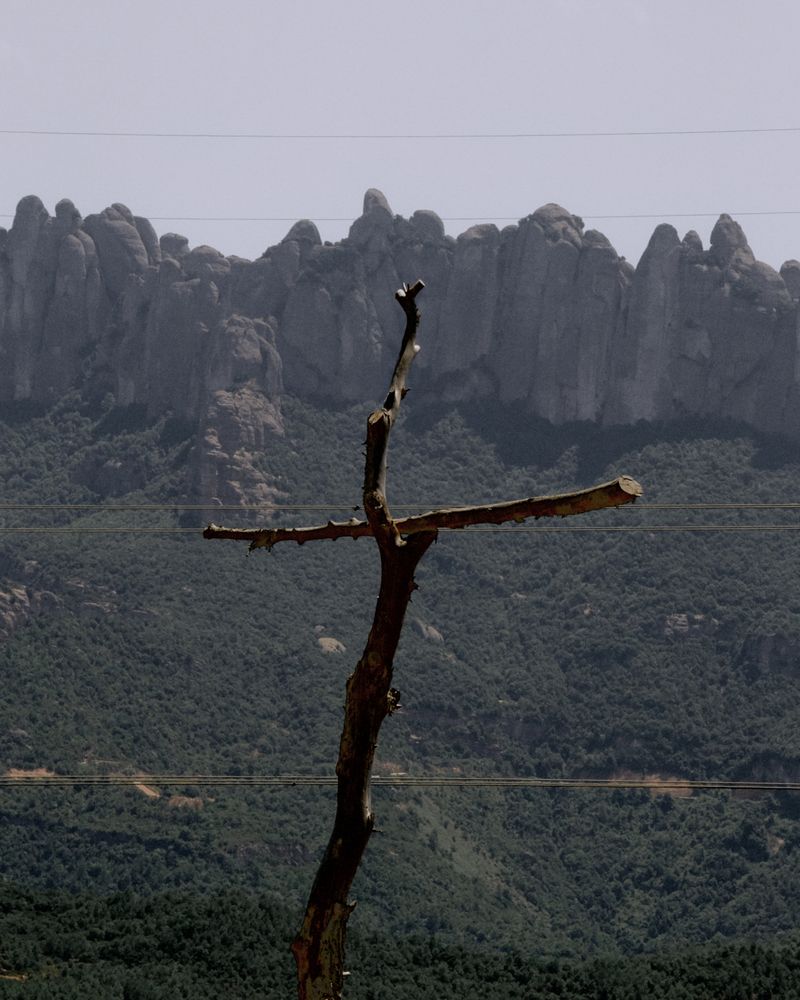 Image from a project on PhMuseum