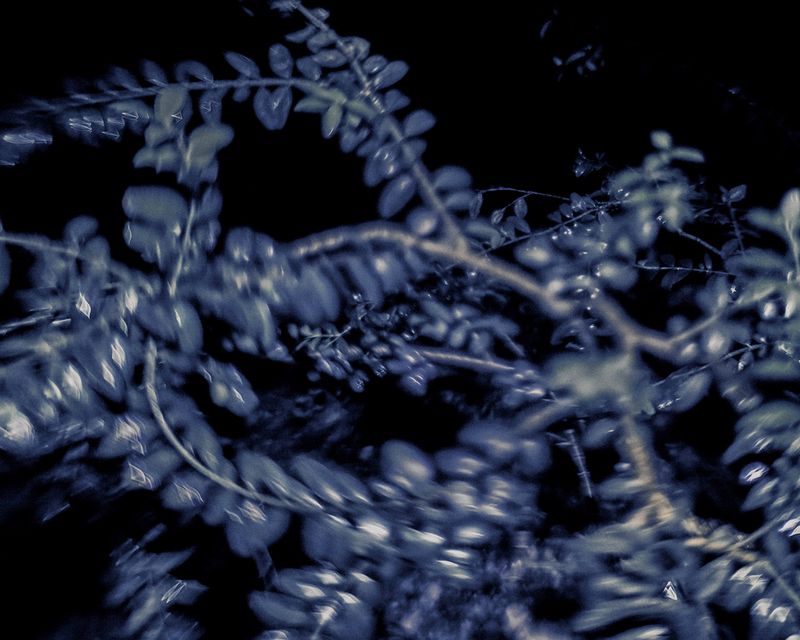 Image from a project on PhMuseum