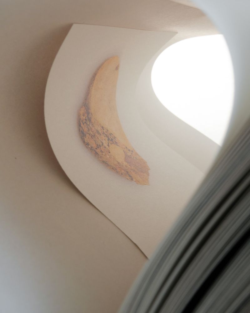 Image from a project on PhMuseum