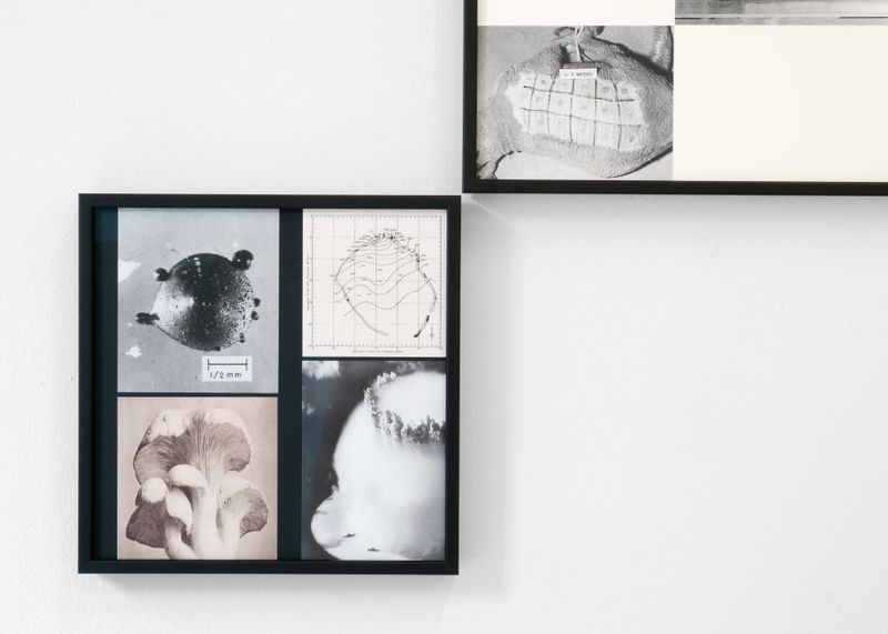 © Daniel Martínez - Image from the (H) photography project