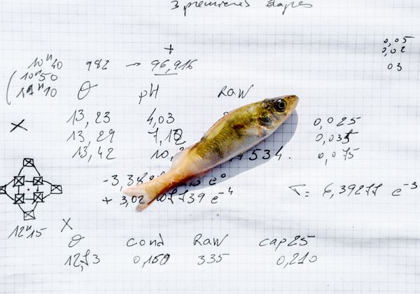 © Daniel Martínez - Image from the FUI-42 photography project