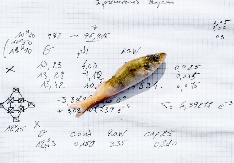 © Daniel Martínez - Image from the FUI-42 photography project