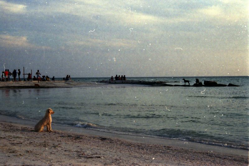 © Florent Roussel - Image from the The path you follow with non geographic plans photography project