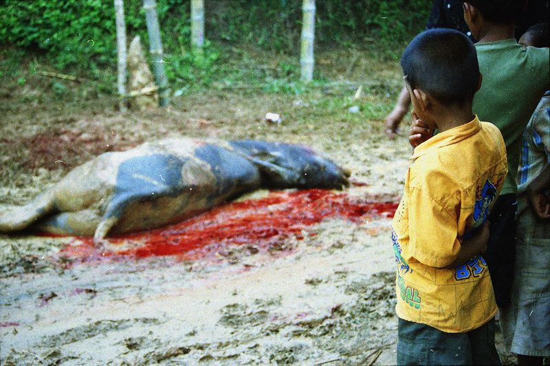 © Florent Roussel - Image from the TANA TORAJA photography project