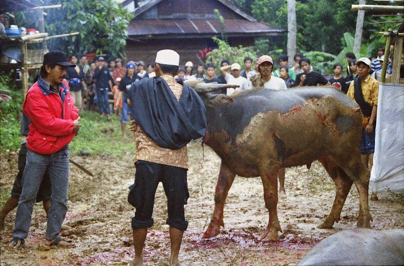 © Florent Roussel - Image from the TANA TORAJA photography project