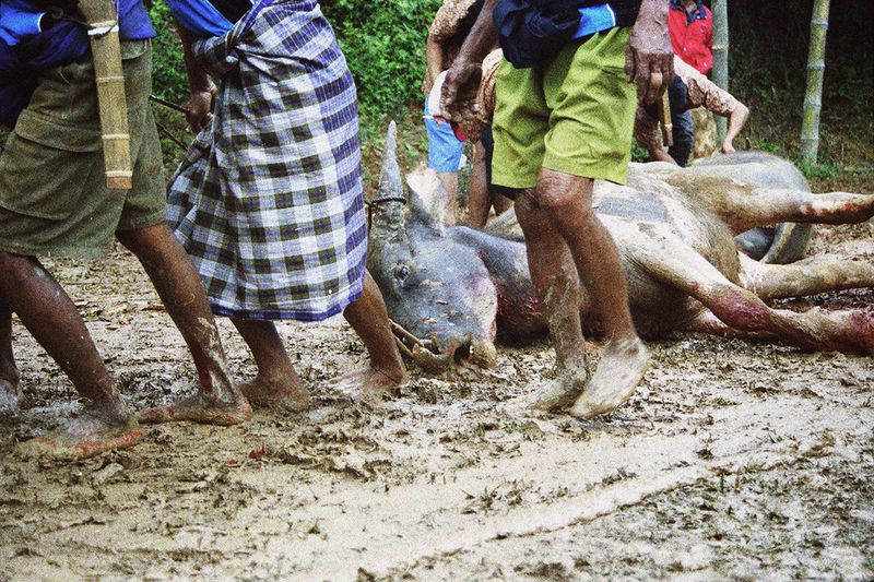 © Florent Roussel - Image from the TANA TORAJA photography project