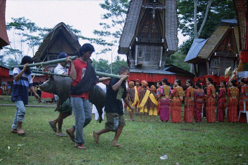 © Florent Roussel - Image from the TANA TORAJA photography project