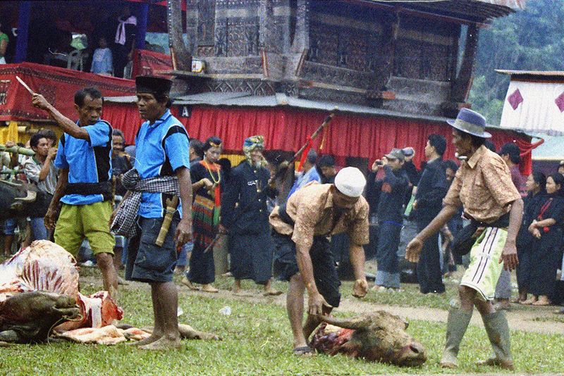 © Florent Roussel - Image from the TANA TORAJA photography project