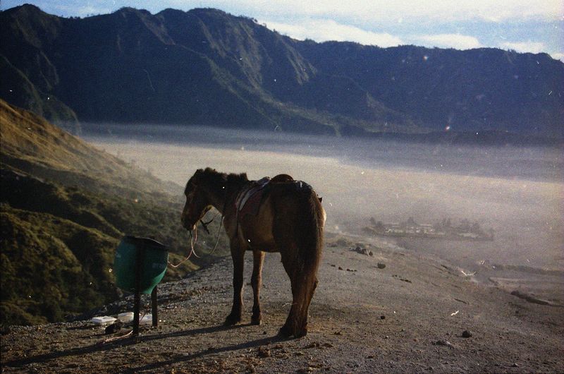 © Florent Roussel - Image from the waktu berlalu photography project