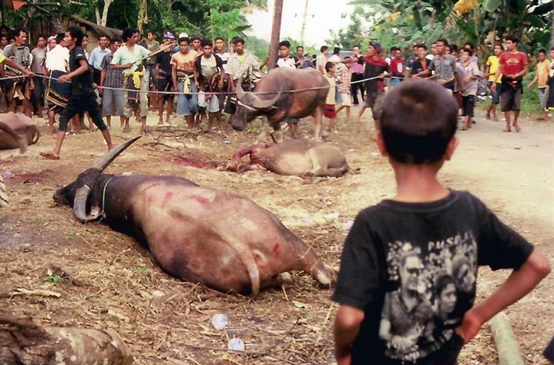 © Florent Roussel - Image from the waktu berlalu photography project