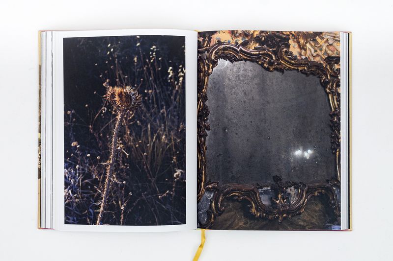 Image from a project on PhMuseum