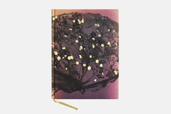 Image from a project on PhMuseum