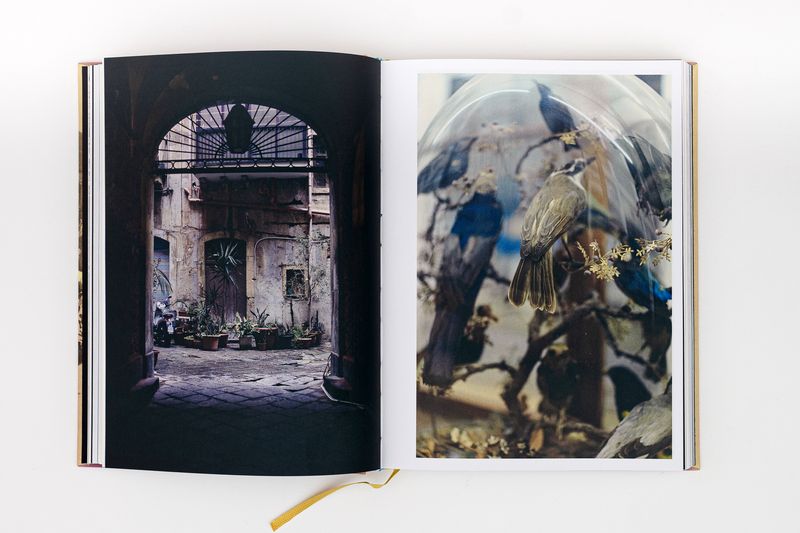 Image from a project on PhMuseum