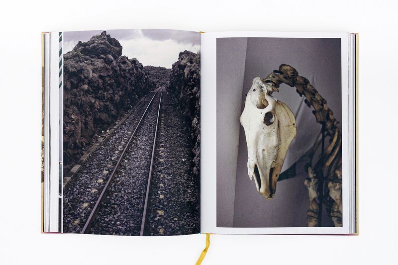 Image from a project on PhMuseum