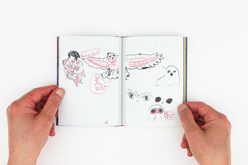 Image from a project on PhMuseum