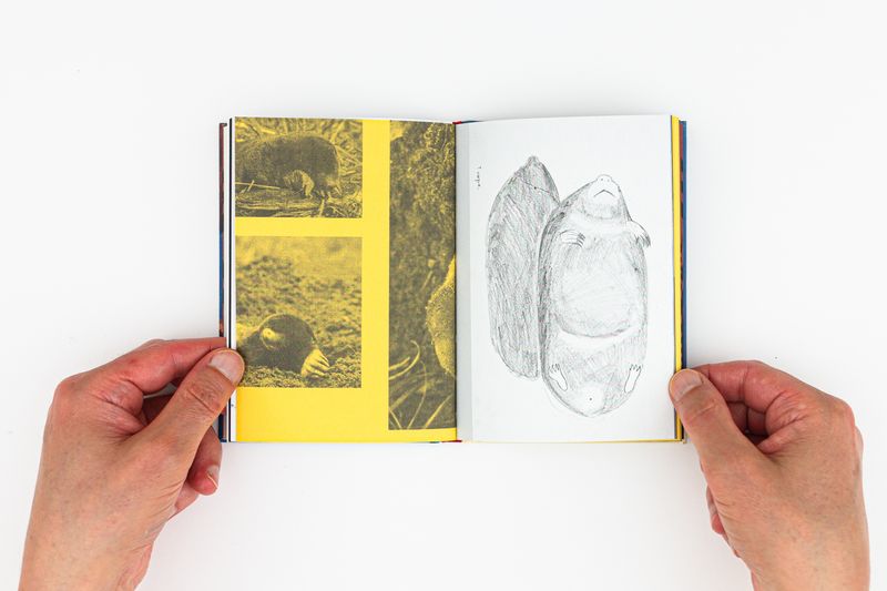 Image from a project on PhMuseum