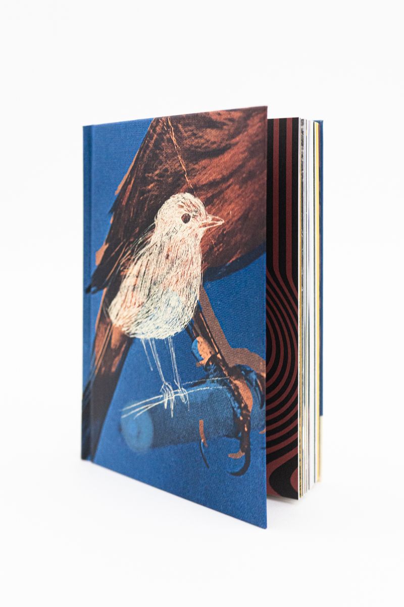 Image from a project on PhMuseum