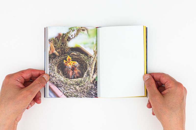 Image from a project on PhMuseum